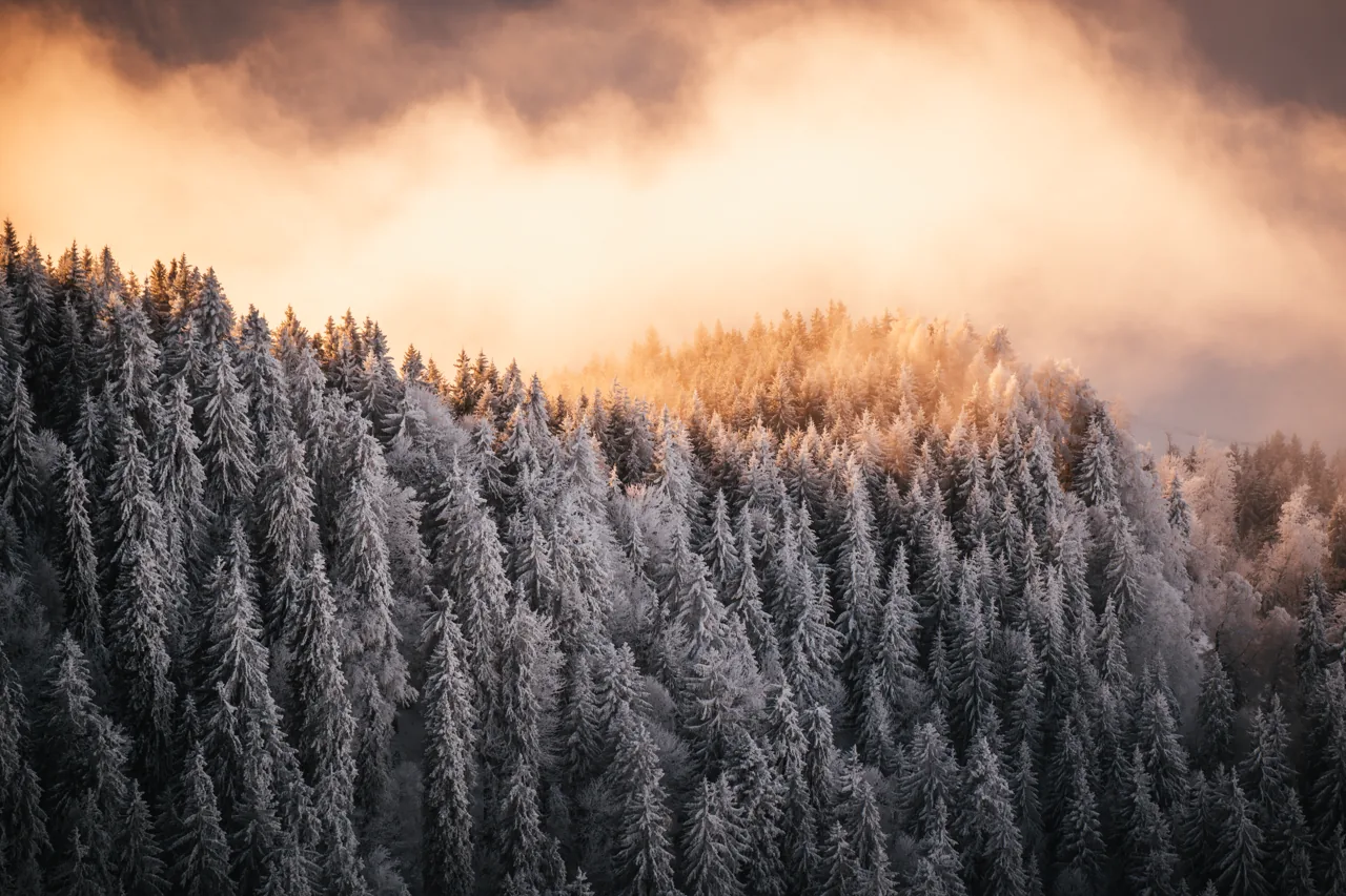 Landschaft – Foto 9 von Thomas Leuthard