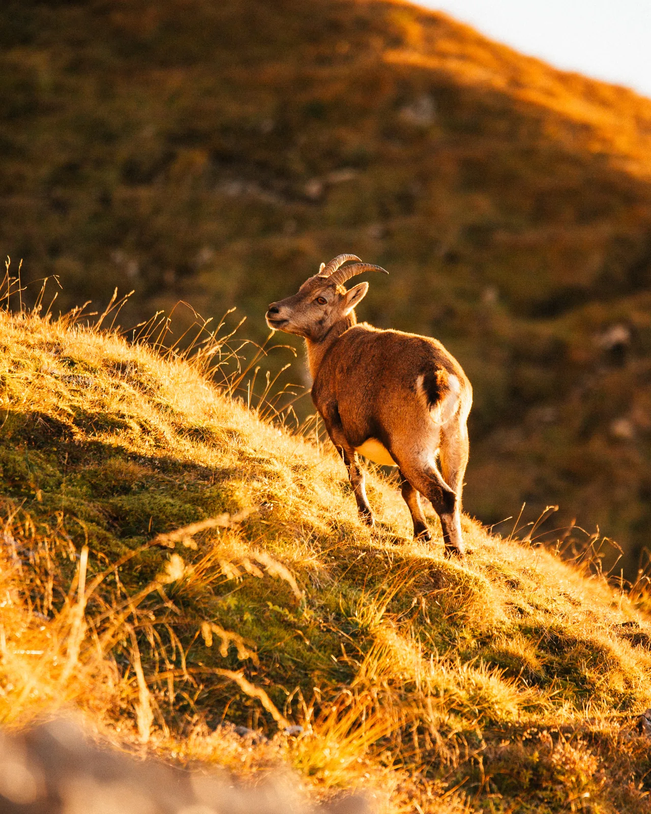 Landschaft – Foto 20 von Thomas Leuthard